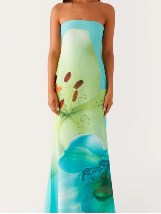 Peppermayo Dresses & Skirts - Peppermayo Darcy Maxi Dress in Turquoise Floral US 4